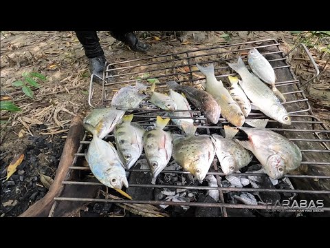 EP738-P2 - Panlalambat ng Isda sa Ilog | Occ. Mindoro