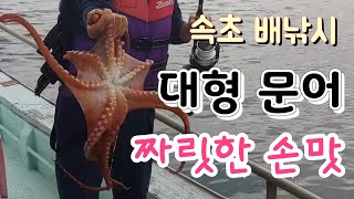 속초 배낚시 초보자도 즐기는 물치항 , 양양 배낚시 정해호