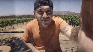 Matthew Mole - Running After You (Live Looping)