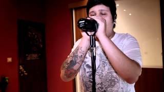 Not the american average (Asking Alexandria) Vocal cover by Diego Teksuo (cleans&screams)
