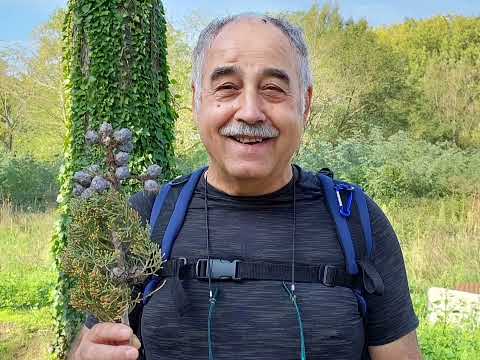 VIA LAURETANA 5 10 OTTOBRE 2022 VIDEO InShot 20221018