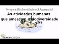 Vídeo para vidio sobre biodiversidade