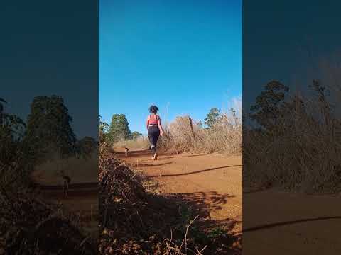 Caminhada sertaneja Comunidade Santa Rita município Vianópolis Goiás Brasil