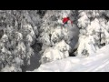 Volcom Snowboarding | #IP3 | BRYAN IGUCHI