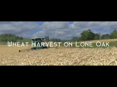 FS17 Wheat Harvest On Lone Oak Farm