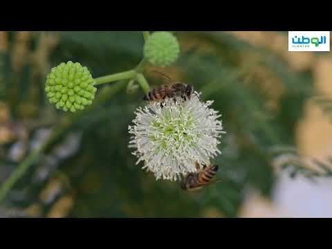 https://youtu.be/20CjX827rfs