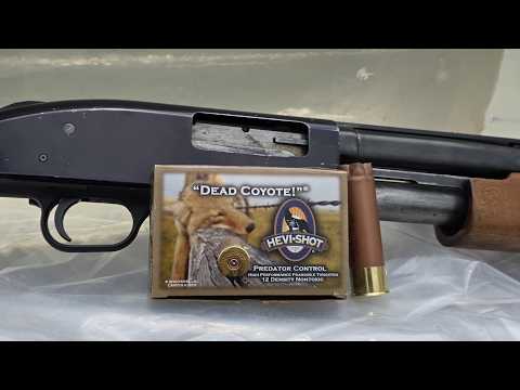 Benelli Super Black Eagle 3 - Hevi Shot Magnum Blend vs Nitro Company Ammunition