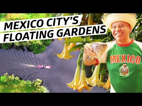 How Mexico City's Mysterious Floating Gardens Helped Feed the City For Hundreds of Years