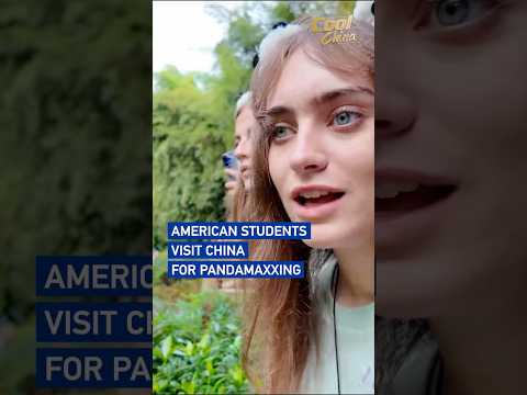 American students visit China on 'PandaMaxxing' exchange #coolchina