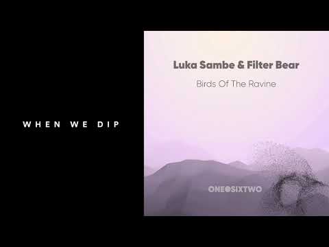 Luka Sambe & Filter Bear - Birds Of The Ravine (Luka Sambe Remix) [onedotsixtwo]