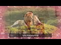 "CAN YOU FEEL THE LOVE TONIGHT" 🦁🐯 "CAN YOU FEEL THE LOVE TONIGHT" 🦁🐯