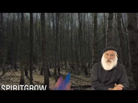 Yitro (for Shabbat 18th Feb ) - Rabbi Laibl Wolf's Parsha message