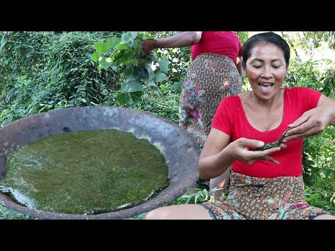 Survival skills: Finding Jelly natural plant for food - Make Jelly natural plant eating delicious #9 Video