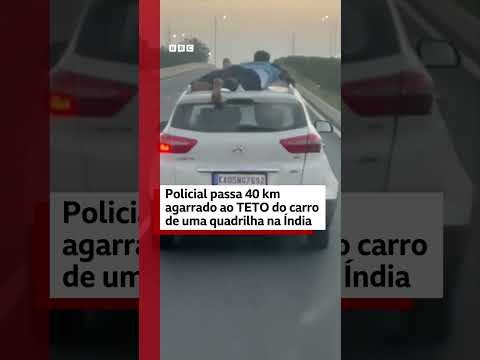 stitch policial teto do carro