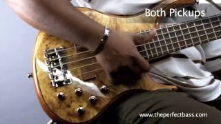 Video thumbnail for MTD Kingston Z5 Bass w/ Rosewood Fingerboard Demo - The Perfect Bass by theperfectbass