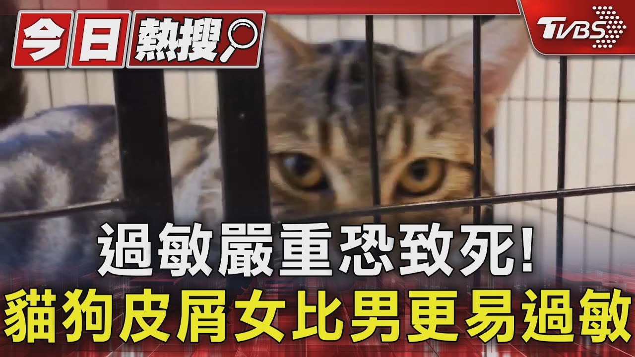 過敏嚴重恐致死! 貓狗皮屑女比男更易過敏