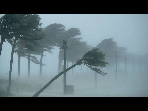 Having A Good Sleep Instantly 🎧 Hurricane & Rain Sounds in Resort | Ambient Noise to Fall Asleep
