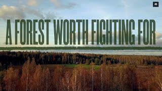 A Forest Worth Fighting For