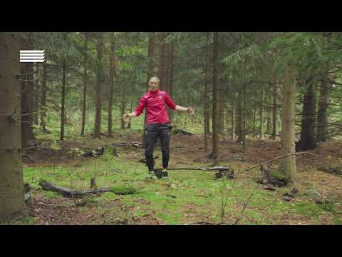 Aktiva barn - träna ute i skogen