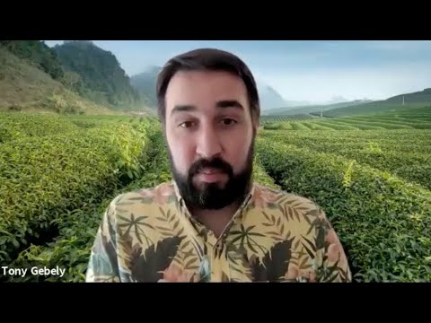 How Does Real Tea Inspire An American? A Conversation With Tony Gebely, Over A Cuppa – 28 Mins