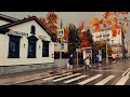 WALKING IN MOSCOW IN RAIN AUTUMN RAINY WALK