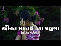Jibon Manei To Jontrona [ Slowed & Reverb ] | Gamcha Palash 2018 | Bangla New Folk Video Song |