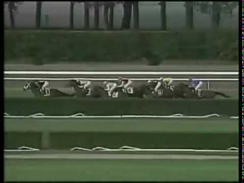 Godolphin Greats - 11 -  SULAMANI - G1 TURF CLASSIC INVITATIONAL