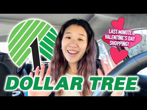 Lasst uns zu Dollar Tree und Aldi fahren! Noch schnell ein paar Valentinstags-Einkäufe erledigen!