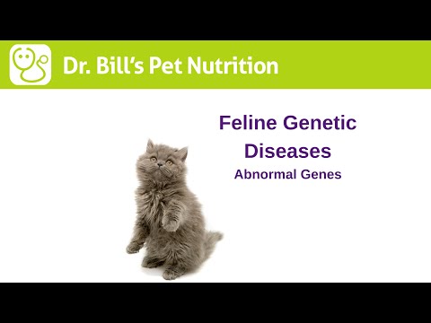 Feline Genetic Diseases | Abnormal Genes | Dr. Bill's Pet Nutrition | The Vet Is In