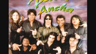 pala ancha  -  sin ayuda