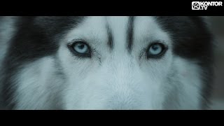 Hardwell feat. Jonathan Mendelsohn - Echo (Official Video HD)