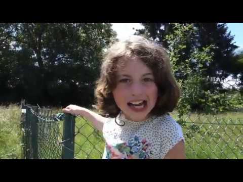 You Can't Steal My Shine ~ The Reverend Peyton's Big Damn Band