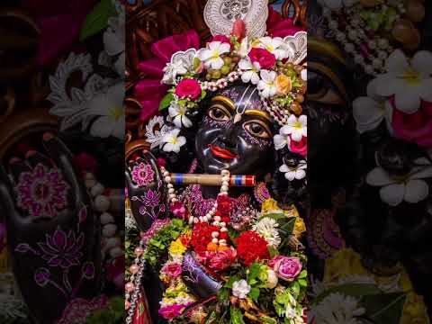 If You Want Absolute Happiness Then Devotee Yourself To Krishna - Lord krishna🤍🦚✨