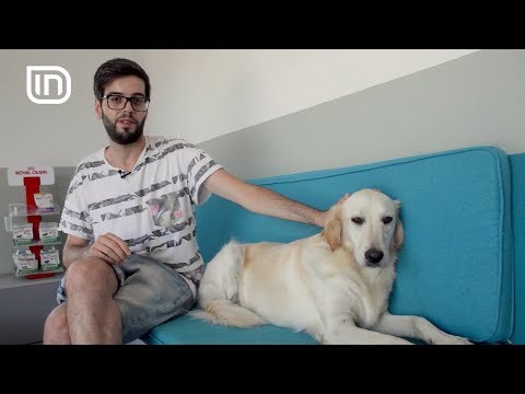 Life is Better with Friends 02082017 - Hoteli i qenve