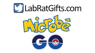 Lab Essentials Collection Tour