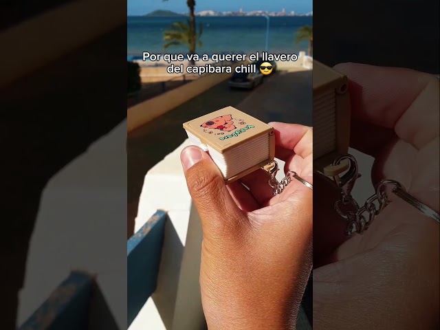 Vídeo relacionado con Floruvia 30 Piezas Conjunto de Llavero Adorable de Capibara, Regalo de Fiesta de Capibara, Colgante de Bolsas para Mujeres, Amantes de los Animales