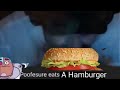 Look Poofesure Eats A Hamburger AuGGhhhHhhhh It S Pretty Let S Catch It Mrkrabs Walking Bruh