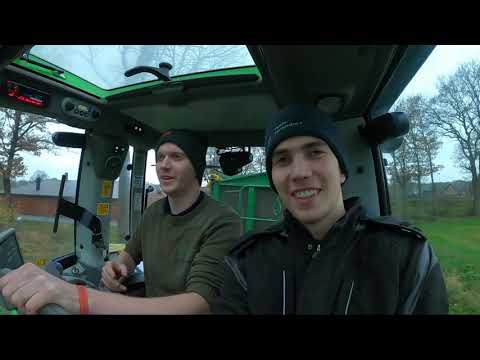 Wie wird das Kraut von den Möhren abgeschlägelt / -geputzt