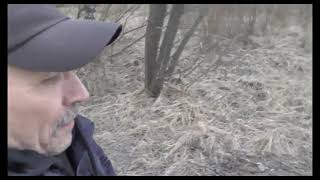 В Питере Беспредел учиняют все, кому не лень ...Но в погонах, это измена и нару?