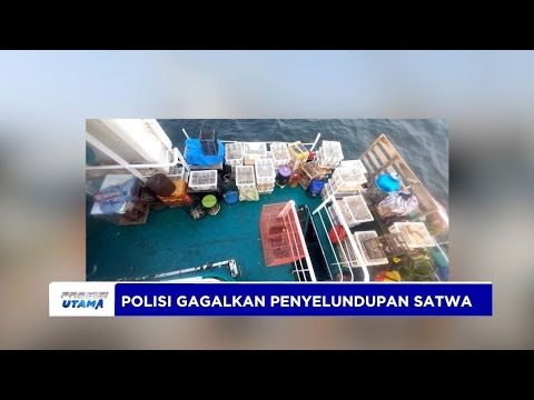 POLISI GAGALKAN PENYELUNDUPAN RIBUAN SATWA