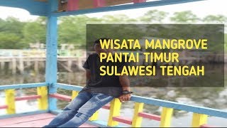 preview picture of video 'Vlog di Wisata Mangrove(Pantai Timur) Sulawesi Tengah.'