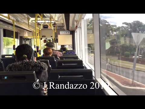 Transit Systems Sydney (ex-STA) m/o 3623 - Scania L113CRB CNG (ZF/Ansair Orana)