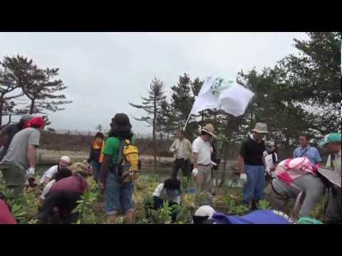 いのちの森リレーの植樹祭＠海岸公園冒険広場