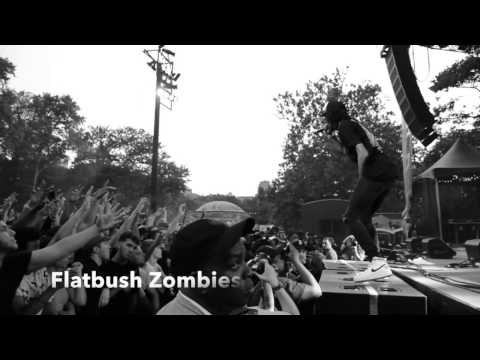 Steez Day 2015 | Joey BadA$$ x Capital Steez "Survival Tactics" | Central Park Summer Stage
