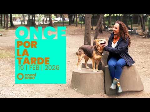 Once por la tarde (16/02/2026)