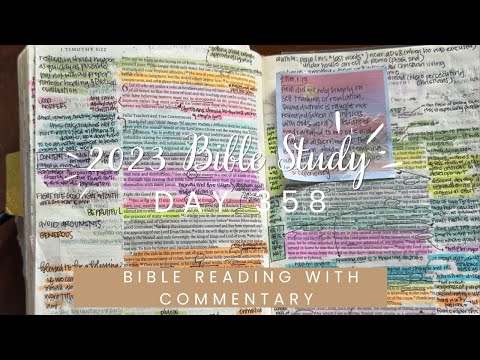 Day 358 2 Timothy 1-4 | Study the Bible in One Year | Reading with commentary