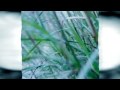 Who Will Stop The Rain - Creedence Clearwater ...