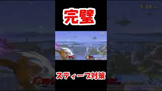 【スマメイト戦】スティーブ対策【スマブラSP】