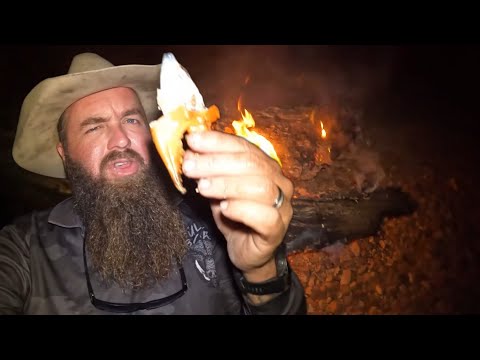 CATCH MUD CRABS or GO HUNGRY - #mudcrab #catchandcook #survival