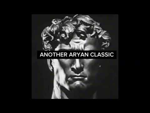 vielleicht vielleicht (schleini hardtekk remix) (slowed) Aryan Classic